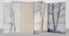 Rantakoivulleni / For my lakeside Birch, akvarelli vanerille / watercolour on plywood,  45 x 112 cm